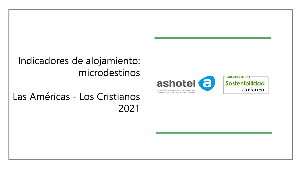 Indicadores del microdestino Las Américas Los Criscianos año 2021