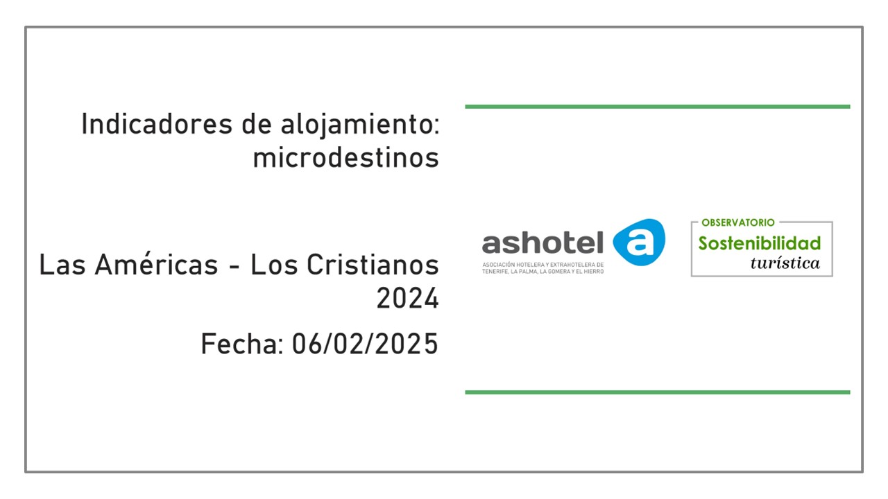 Indicadores de microdestinos de Las Américas - Los Cristianos 2024