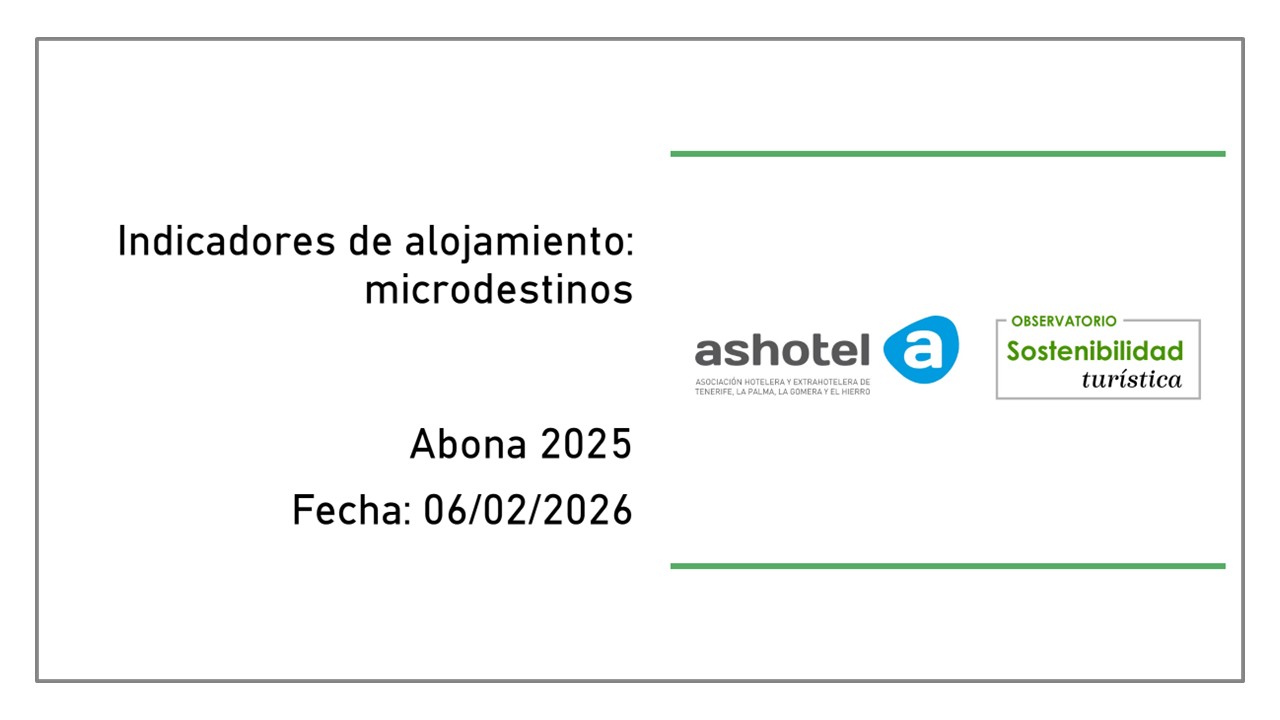 Indicadores de microdestinos de Adeje turístico 2025