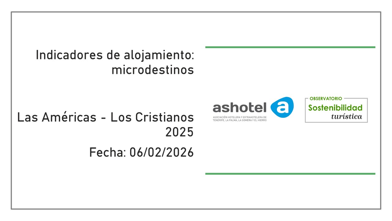 Indicadores de microdestinos de Las Américas - Los Cristianos 2025
